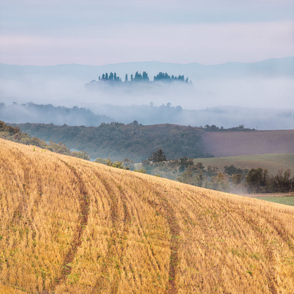 Tuscany Rolling Hills | Photo Art Print fine art photographic print