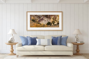 Unusual rock formations in the desert | Photo Art Print fine art photographic print