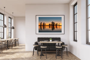 Vibrant Sky Caddo Lake Cypress Trees | Photo Art Print fine art photographic print