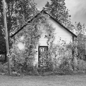 鮮やかな秋の色が生い茂る田舎の小屋 | 写真写真 アートプリント ファインアート 写真プリント