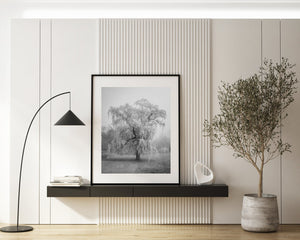 Willow tree in the park on a foggy day | Photo Art Print fine art photographic print