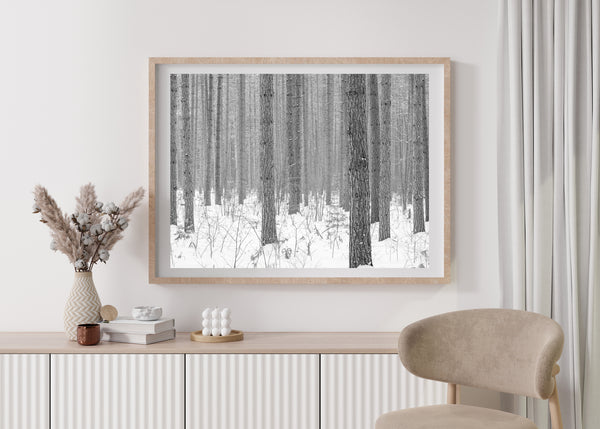 Winter scene in the Haliburton County forest | Photo Art Print fine art photographic print