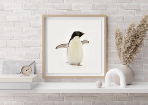 Portrait de manchot papou sauvage sur un fond blanc enneigé