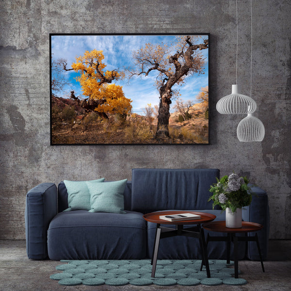 Golden Cottonwood Trees Radiate Abstract Beauty in Desert | Photo Art Print fine art photographic print