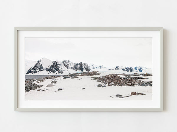 Antarctic Panorama with Nesting Gentoo Penguins | Photo Art Print fine art photographic print