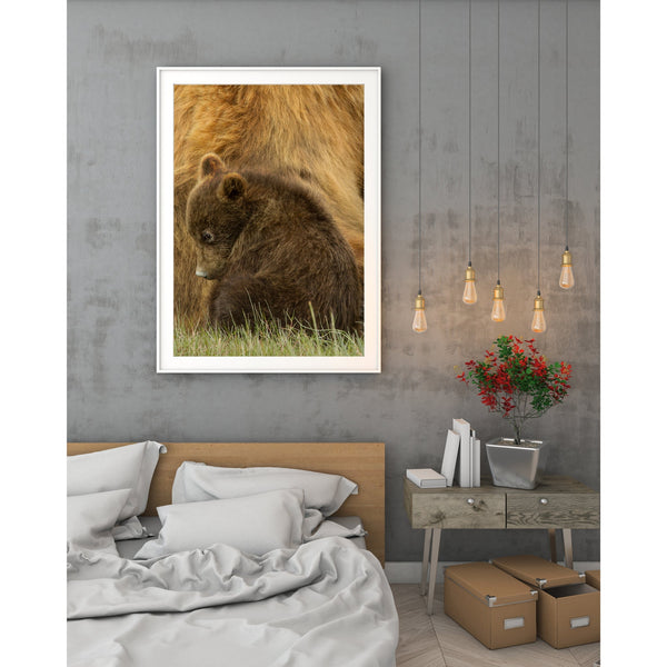Baby brown bear with mother | Photo Art Print fine art photographic print