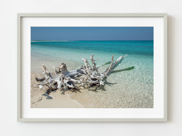Beach with Driftwood Dry Tortugas | Photo Art Print fine art photographic print