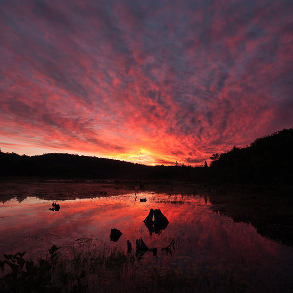 Beautiful Sunrise in Haliburton Highlands Canada | Photo Art Print fine art photographic print