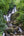 Beautiful Torc Waterfalls in Ireland | Photo Art Print fine art photographic print