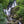 Load image into Gallery viewer, Beautiful Torc Waterfalls in Ireland | Photo Art Print fine art photographic print
