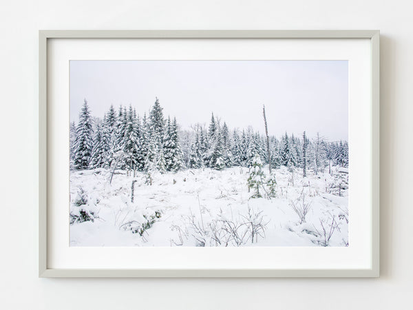 Beautiful winter landscape Haliburton Highlands | Photo Art Print fine art photographic print