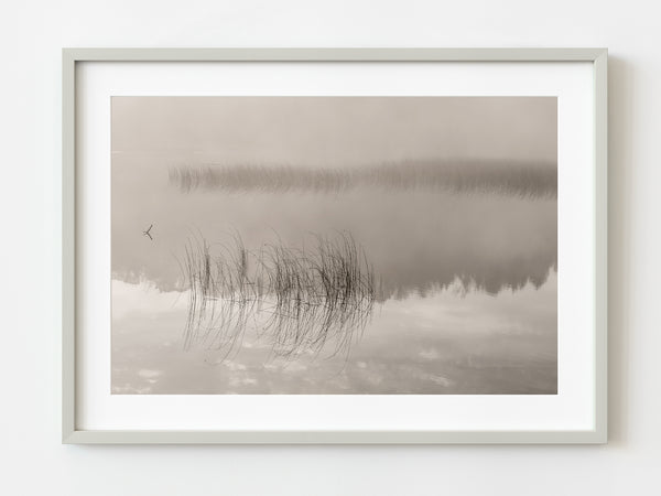 Calm water and grass | Photo Art Print fine art photographic print