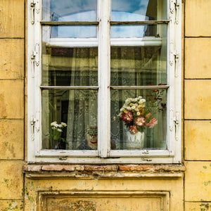 Cat watching people in the Window | Photo Art Print fine art photographic print