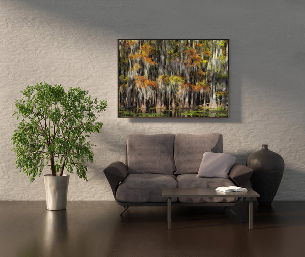 Cypress Grove and Spanish Moss | Photo Art Print fine art photographic print