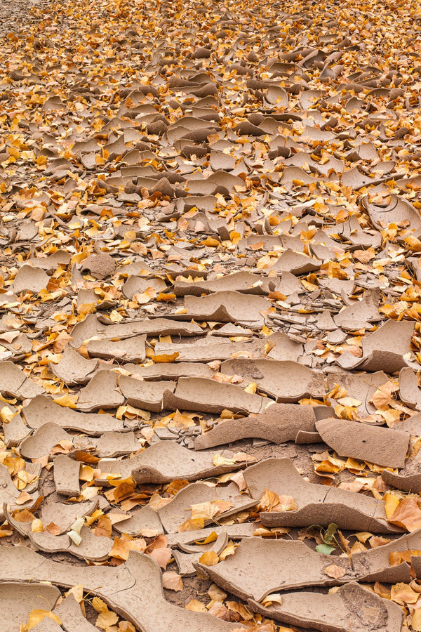 Dried riverbed in the fall | Photo Art Print fine art photographic print