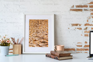 Dried riverbed in the fall | Photo Art Print fine art photographic print