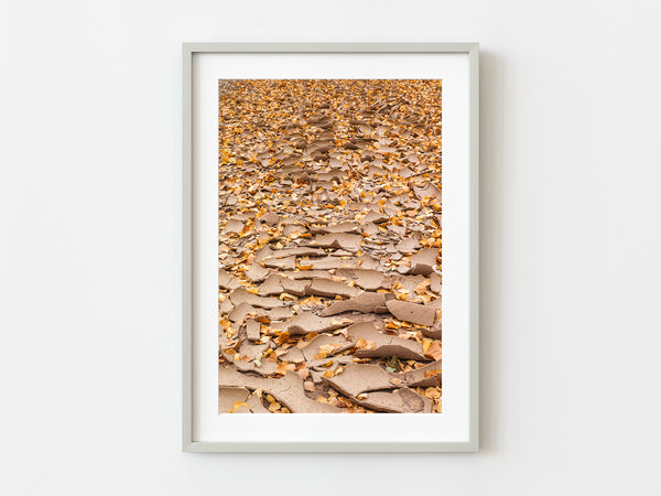 Dried riverbed in the fall | Photo Art Print fine art photographic print