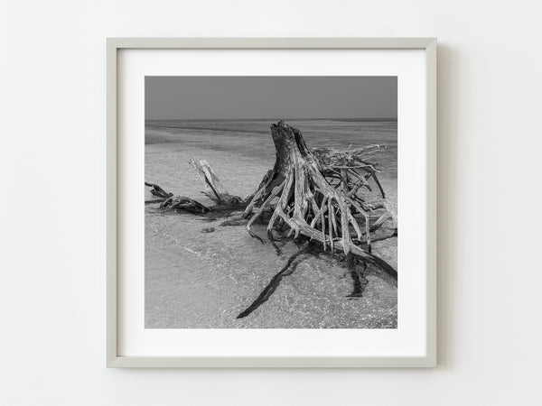 Driftwood Dry Tortugas | Photo Art Print fine art photographic print