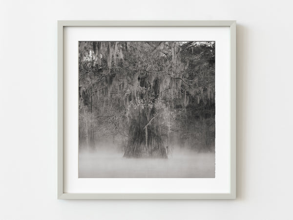 Eerie mist Louisiana Swamps | Photo Art Print fine art photographic print