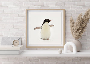 Wild Gentoo penguin portrait against a white snowy background