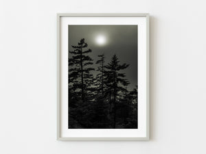 Forest in Haliburton on Foggy Morning | Photo Art Print fine art photographic print