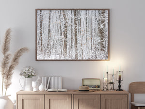 Forest trees covered in snow | Photo Art Print fine art photographic print