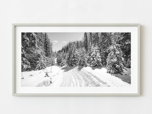 Fresh snow snowmobile trail Haliburton Ontario | Photo Art Print fine art photographic print