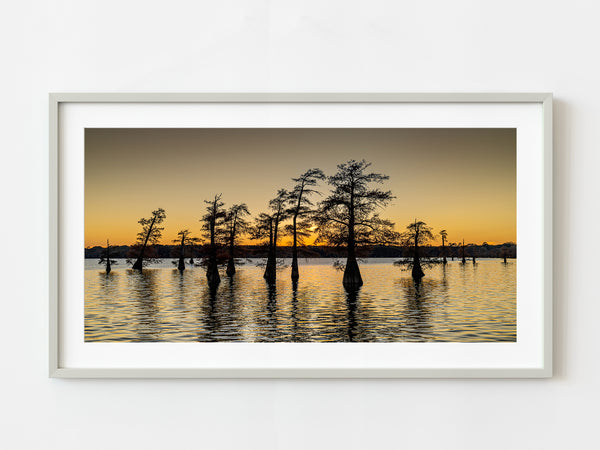 Golden sunset over Caddo Lake | Photo Art Print fine art photographic print