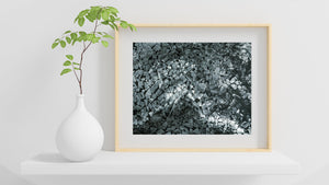 Fractured ice fine art photo