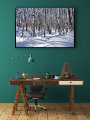 Haliburton winter forest trees | Photo Art Print fine art photographic print
