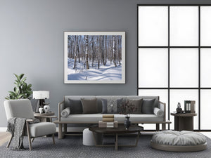 Haliburton winter forest trees | Photo Art Print fine art photographic print