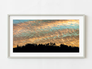 Late sunset sky against silhouetted tree line in Romania | Photo Art Print fine art photographic print
