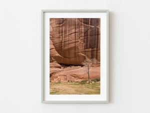 Lone tree beside White House Ruin Canyon de Chelly | Photo Art Print fine art photographic print