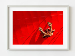Old commercial ship anchor against the bright red hull | Photo Art Print fine art photographic print