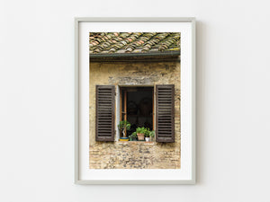 Old Tuscan Window with plants | Photo Art Print fine art photographic print