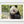Load image into Gallery viewer, Panda bear eating bamboo at zoo in Chengdu China | Photo Art Print fine art photographic print
