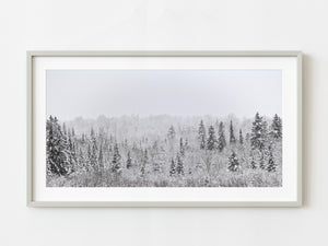 Panorama Canadian forest after early snowfall | Photo Art Print fine art photographic print