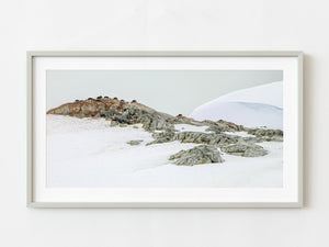 Penguins nesting on the Antarctic rocky landscape | Photo Art Print fine art photographic print