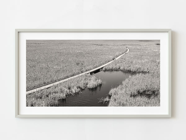 Point Pelee National Park Marsh in Canada | Photo Art Print fine art photographic print