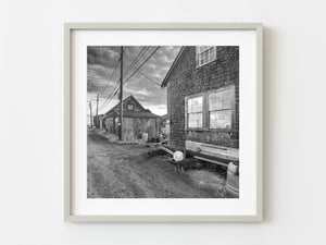 Quite street at a Marthas Vineyards fishing village | Photo Art Print fine art photographic print