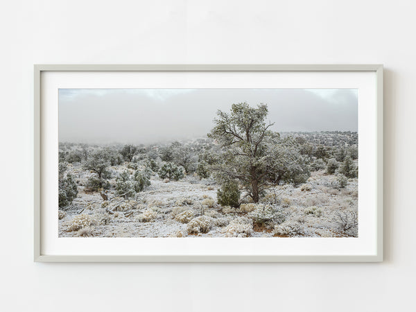 Rare snowy day over Arizona wilderness | Photo Art Print fine art photographic print