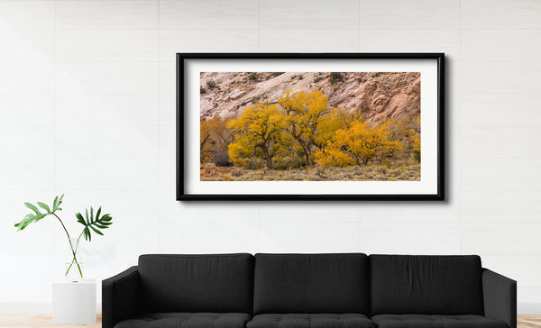 Row of cottonwood tress in the desert | Photo Art Print fine art photographic print