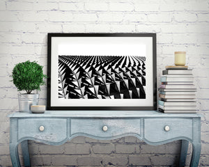 SAMRI Building Adelaide Abstract Detail | Photo Art Print fine art photographic print