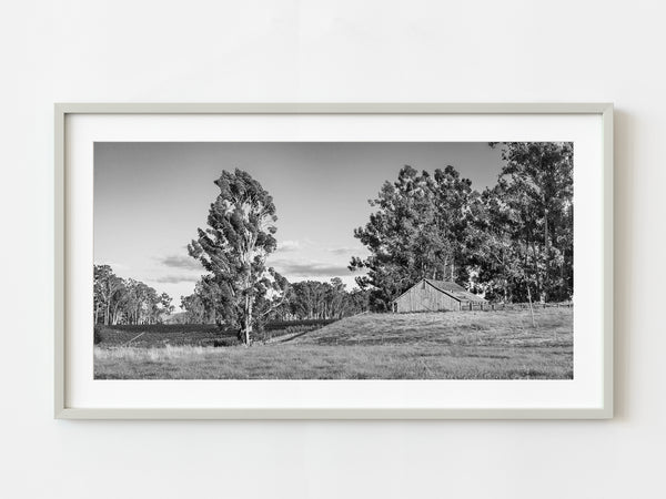 Small vineyard in Napa Valley at sunset | Photo Art Print fine art photographic print