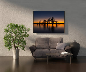 Swamp at sunset fine art wall print