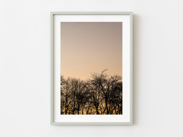 Sunset through the trees | Photo Art Print fine art photographic print