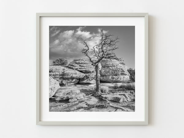 Tree against the rocks Monument Valley | Photo Art Print fine art photographic print