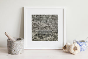 Tuscan Ancient Wall and Overgrown Bench | Photo Art Print fine art photographic print