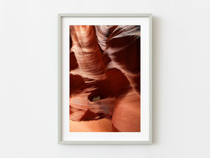 Vibrant Antelope Canyon Wall and Lone Bush | Photo Art Print fine art photographic print