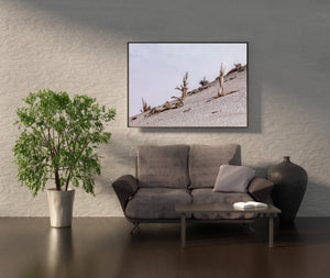 White Mountains California | Photo Art Print fine art photographic print